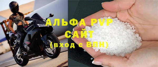 шишки Коряжма