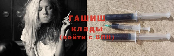 шишки Коряжма