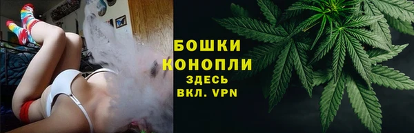 шишки Коряжма