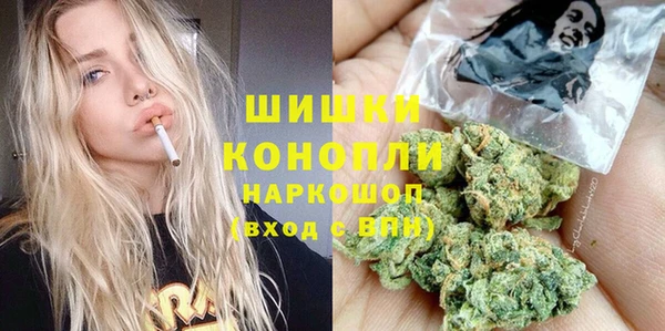 шишки Коряжма