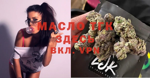 крисы Краснослободск