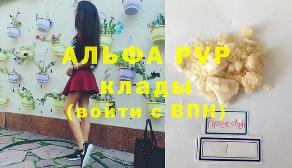 СК Корсаков
