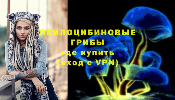 СК Корсаков