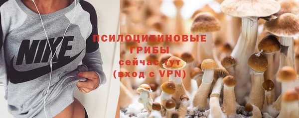 СК Корсаков